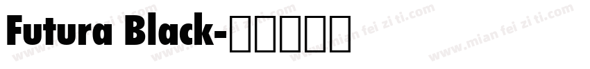 Futura Black字体转换